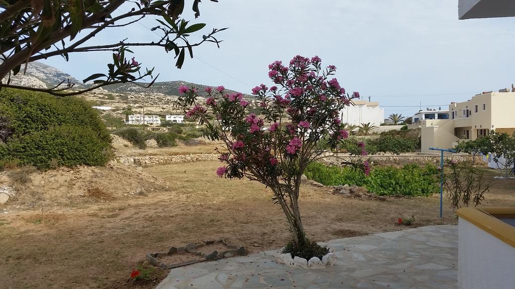 Apartament Aegean Sea Lefkos  Zewnętrze zdjęcie